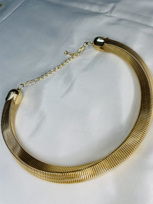 Golden hasli - Image 3